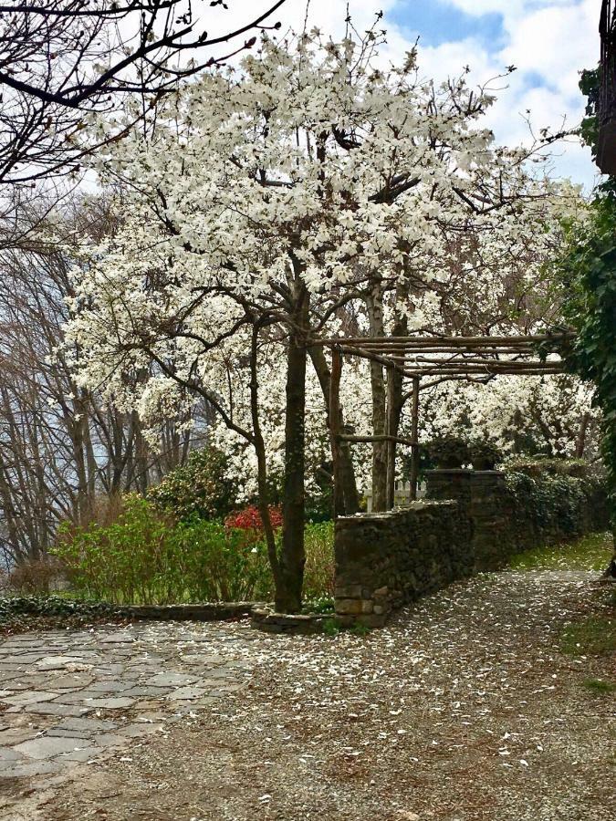 Casa Cesira Apartman Pettenasco Kültér fotó
